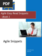 Agile Snippets 1