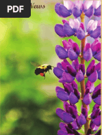 Download 2015 June Monza News by MonzaNews SN268134369 doc pdf