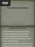 Download Median Nerve by humeramohamad SN26813780 doc pdf