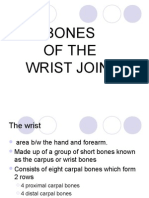 Bones of the Wrist Joint