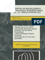 Fisica en La Vida Cotidiana