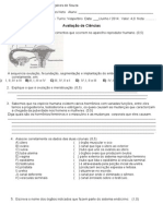 Avaliação de Ciências sobre Sistema Reprodutor