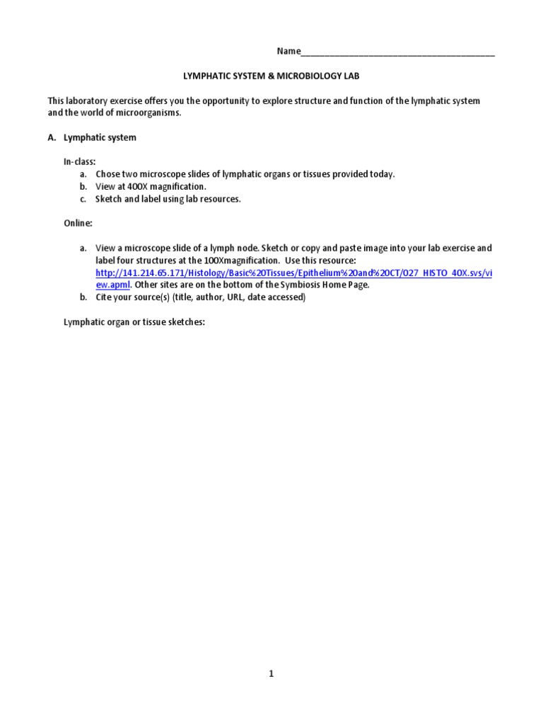 Lymphatic System Microbiology Lab | Lymphatic System | Bacteria | Free