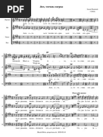 Ave Verum Corpus (Raminsh)