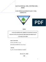 TESIS Co2 Del Suelo UNCP