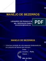 Manejo de Bezerros