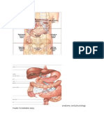 Anatomy and Physiology Made Incrediable Easy