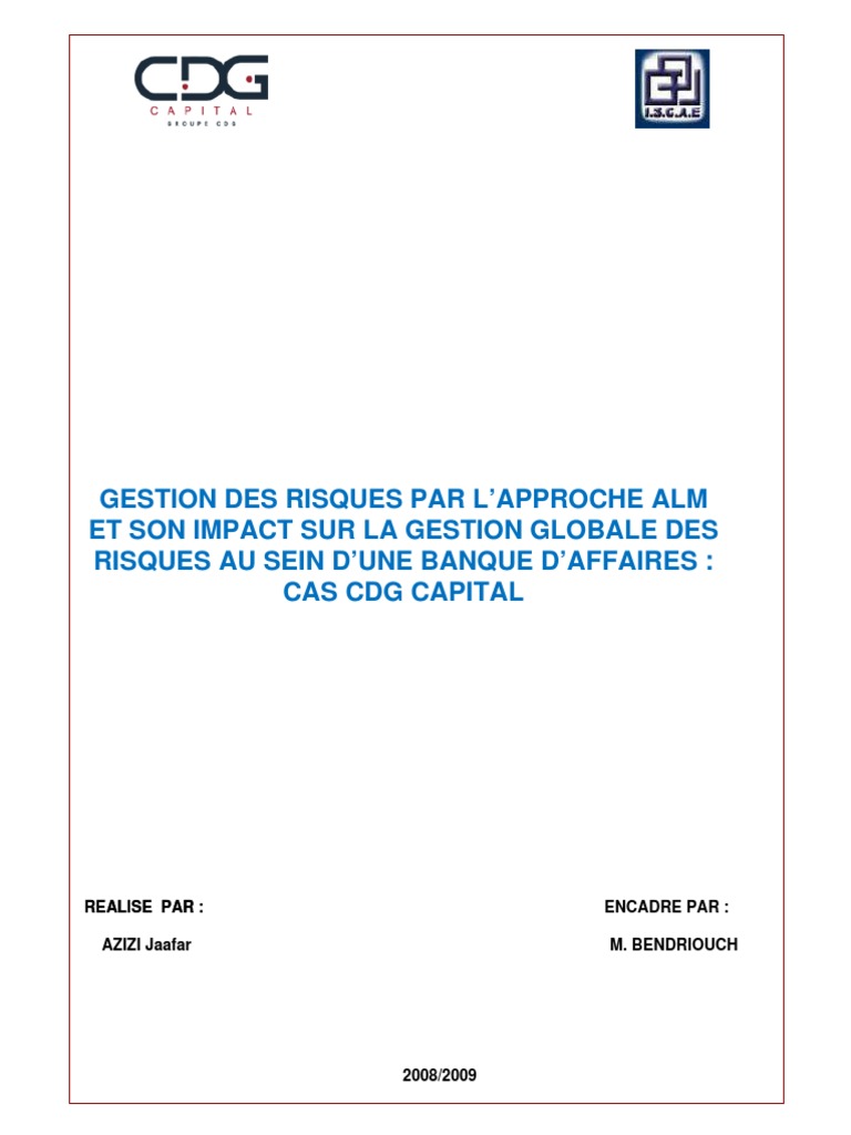 Alm finance pdf