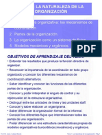 Tema 1 La Naturaleza de La Organización