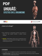 Download DROGAS-EFECTOS FISIOLOGICOS by Juanyfeny Carmilema Fajardo SN268196025 doc pdf