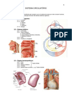 Revisão - Cardiovascular