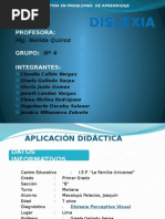 MAESTRIA EXPOSICION DISLEXIA 2013.pptx