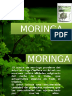 Moringa