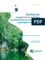 Resiliencia - El Papel de Los Servicios Ecosistémicos en Sociedades y Paisajes Cambiantes - Web