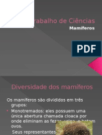 Trabalho de Ciencias 2