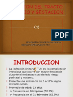 ITU y Gestación