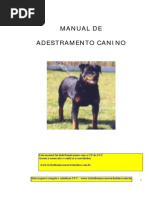 Curso de Adestramento Canino II