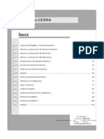 Historia del Álgebra y Números Enteros