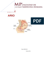 Informe de embarazo.docx