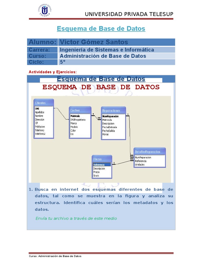Esquema y Metadatos en Bases de Datos | PDF | Catalogación | Bases de datos