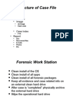 Structure of Case File