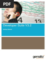 Developer Suite Getting Started