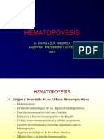 Hematopoyesis Clase