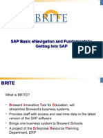 Sap Basic Enavigation and Fundamentals: Getting Into Sap
