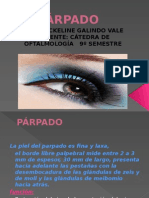 4.- PARPADO.pptx