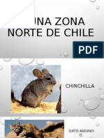 Fauna Zona Norte de Chile