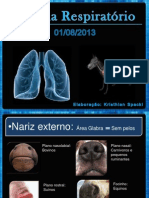  Slides Sobre Sistema Respiratório, Medicina Veterinária. Elaborado Por Kristhian Felipe Spacki