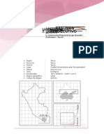 Resumen Ejecutivo Final proyecto