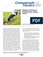 COT54 Medidas de Eficiencia Da Ativ Leiteira Indices Zootecnicos PDF