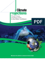 Climate Change Projections and Marine Turtles in the Wider Caribbean - Fish, Lombana & Drews 2009