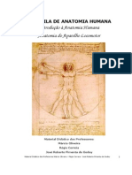 Apostila I - Introdução a Anatomia e Aparelho Locomotor.pdf