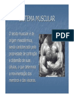 Microsoft PowerPoint - Aula 7 Sistema Muscular 1.pdf