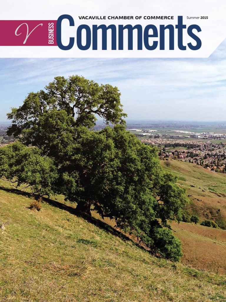 Business Comments Summer 2015 | PDF | Mentorship | Business