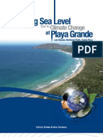 Rising Sea Level Due To Climate Change in Playa Grande, Las Baulas National Park, Costa Rica - Drews & Fonseca 2009