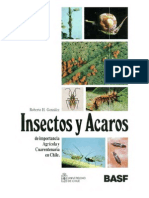 Insectos y Acaros