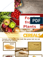 Topic 4 Food From Plants