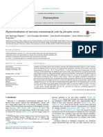 Artículo fitorremediación