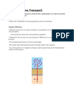 1 4 membrane transport