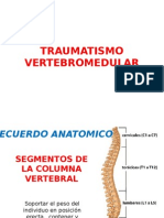 70593808-Traumatismo-Vertebro-medular.pptx