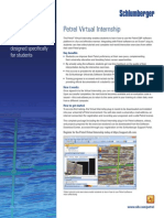 Petrel Virtual Internship Flyer