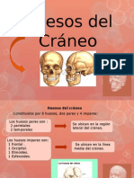 Huesos de L Crane Exposición