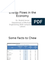 Energy Flows in The Economy
