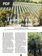 Download Extra Virgin Olive Oil from Oakhurst Olives Tulbagh   by dusan11 SN268366561 doc pdf