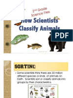 Biodiversity How Scientists Classify Animals PDF