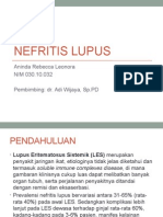 Nefritis Lupus