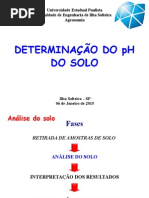 Determinação Do PH Do Solo